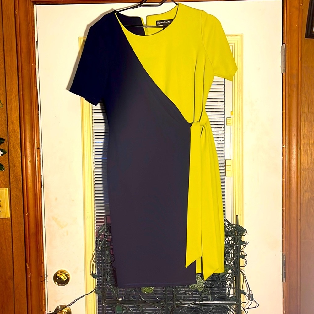 Size 12 women dress; with two colors. Never worn. Length 38 inches